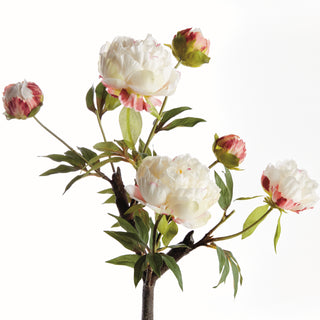 PEONY BRANCH 25"