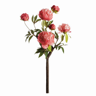 PEONY BRANCH 25"