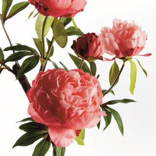 PEONY BRANCH 25"