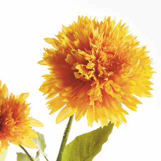 TEDDY BEAR SUNFLOWER STEMS 27", BUNDLE OF 2