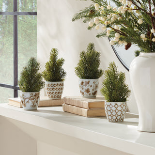 MINI PINE TREE POTTED DROP-IN 9"