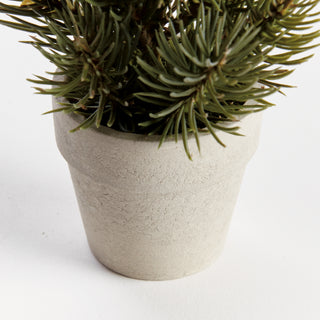 MINI PINE TREE POTTED DROP-IN 9"