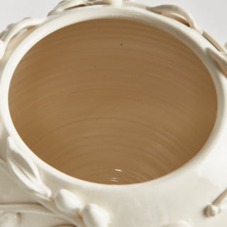 OLIVELLA VASE