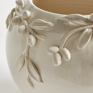 OLIVELLA VASE