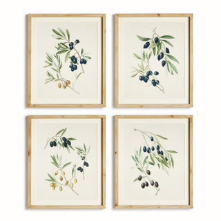 OLIVE STEMS STUDY, SET OF 4