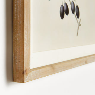 OLIVE STEMS STUDY, SET OF 4