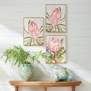 QUEEN PROTEA GICLEES, SET OF 3