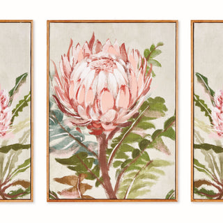 QUEEN PROTEA GICLEES, SET OF 3