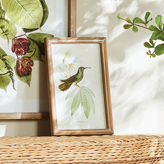 HUMMINGBIRDS IN BLOOMS STUDY, SET OF 8