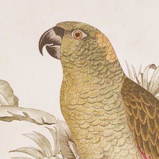 TROPICAL PARROT PRINTS, SET OF 2