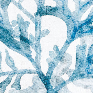 TRANSLUCENT CORAL PRINT