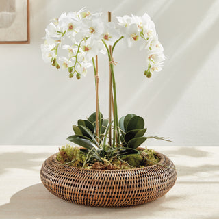 BURMA RATTAN SHALLOW DISPLAY BOWLS, SET OF 2