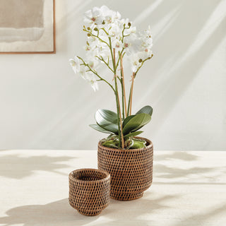 BURMA RATTAN CACHEPOTS SMALL, SET OF 2