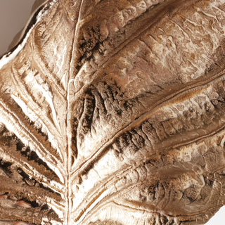 COLOCASIA WALL ART LARGE