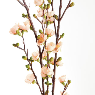 QUINCE BLOSSOM BRANCHES, BUNDLE OF 2