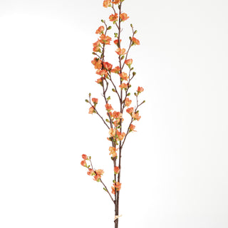 QUINCE BLOSSOM BRANCHES, BUNDLE OF 2