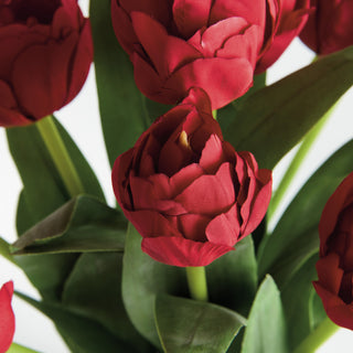 PEONY TULIP BUNDLE DROP-IN 18"
