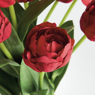 PEONY TULIP BUNDLE DROP-IN 18"