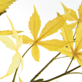 MAPLE LEAF BRANCHES 41" ST/2
