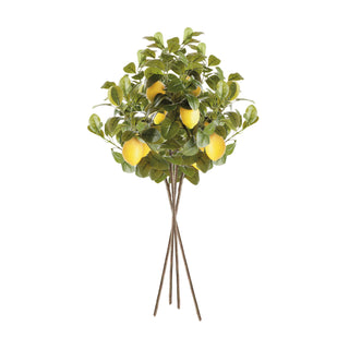 FAUX LEMON STEMS 31", SET OF 4