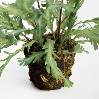 RABBIT FOOT DROP-IN 13.5"