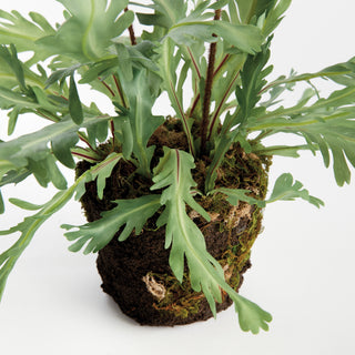 RABBIT FOOT DROP-IN 13.5"