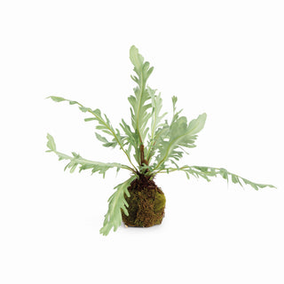 RABBIT FOOT DROP-IN 9"