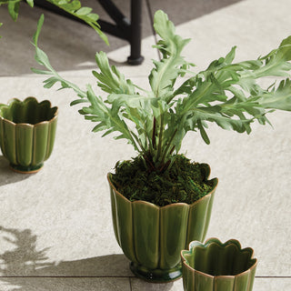 RABBIT FOOT DROP-IN 9"