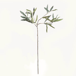 OLIVE STEMS 30", SET OF 4