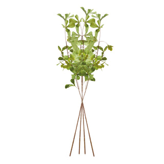 SHADY LADY BLACK OLIVE STEMS 28", SET OF 4