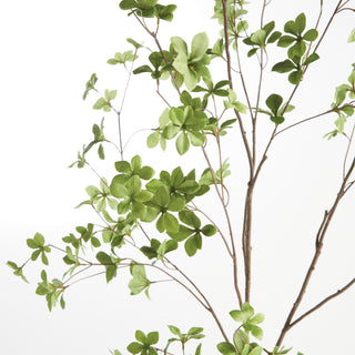 SHADY LADY BLACK OLIVE BRANCHES 56", SET OF 2