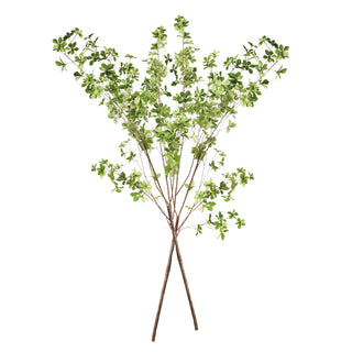 SHADY LADY BLACK OLIVE BRANCHES 56", SET OF 2