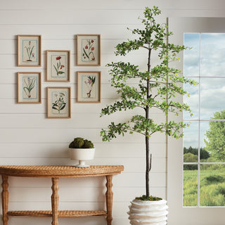 SHADY LADY OLIVE TREE DROP-IN 89"