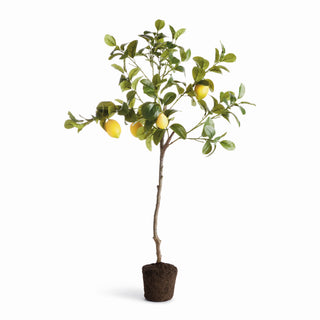 FAUX LEMON TREE DROP-IN 37"