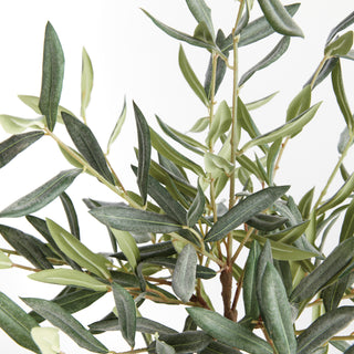 OLIVE MINI TREE DROP-IN 17.5"