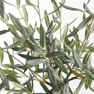 OLIVE MINI TREE DROP-IN 26"