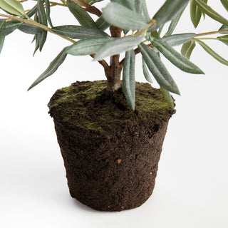 OLIVE MINI TREE DROP-IN 26"