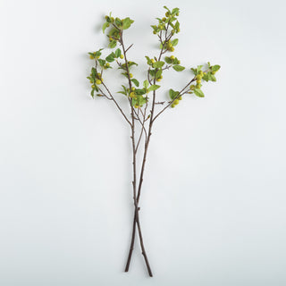 CRABAPPLE BRANCHES 45" ST/2