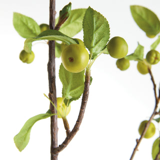 CRABAPPLE BRANCHES 45" ST/2