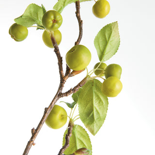 CRABAPPLE BRANCHES 45" ST/2