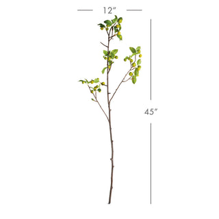 CRABAPPLE BRANCHES 45" ST/2