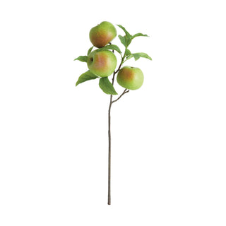 APPLE BRANCHES 20" ST/4