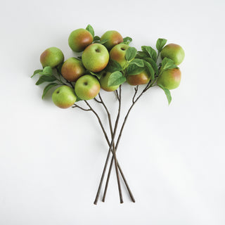 APPLE BRANCHES 20" ST/4