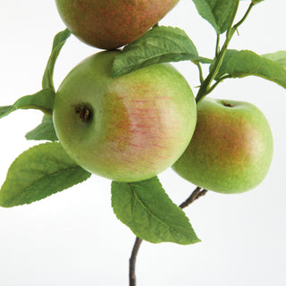 APPLE BRANCHES 20" ST/4