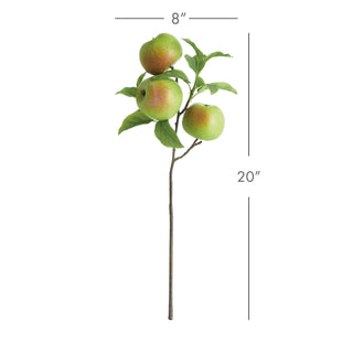 APPLE BRANCHES 20" ST/4