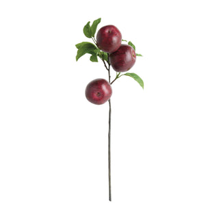 APPLE BRANCHES 20" ST/4