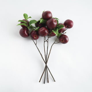 APPLE BRANCHES 20" ST/4