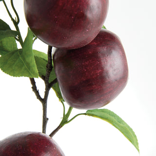 APPLE BRANCHES 20" ST/4