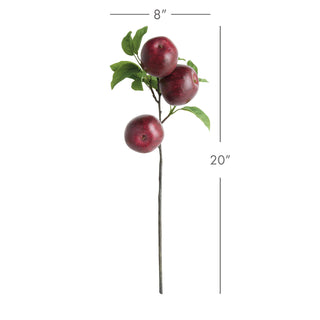 APPLE BRANCHES 20" ST/4