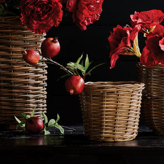 POMEGRANATE PICKS 10" ST/4